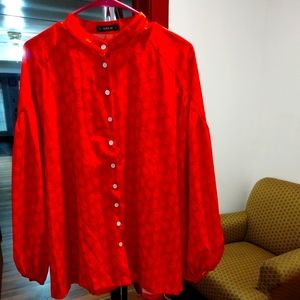 Sheilay Women's Long Sleeves Blouse Size Large with Bell Sleeves Button Down